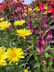 Service Gardens for you