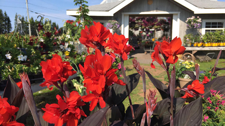 Island Pride Garden Co - located in Wood Islands, PEI and Hunter River, PEI